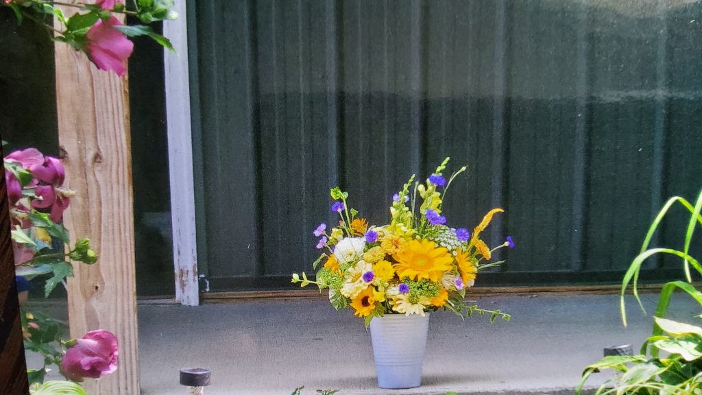 Bloomin' Dreams 501 1024x576