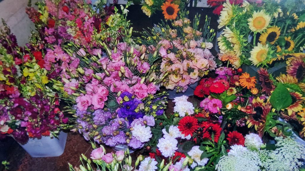 Bloomin' Dreams 512 1024x576