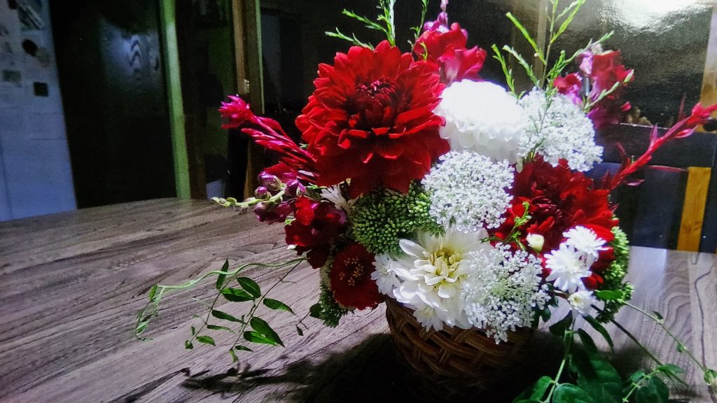 Bloomin' Dreams 517 1024x576